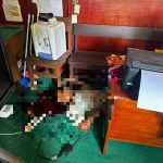 9d525f23-0009-4db7-9d36-132ef9965029